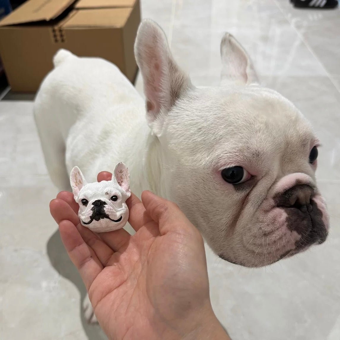 Personalized Cute Pet Plaster Avatar