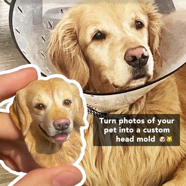 Personalized Cute Pet Plaster Avatar
