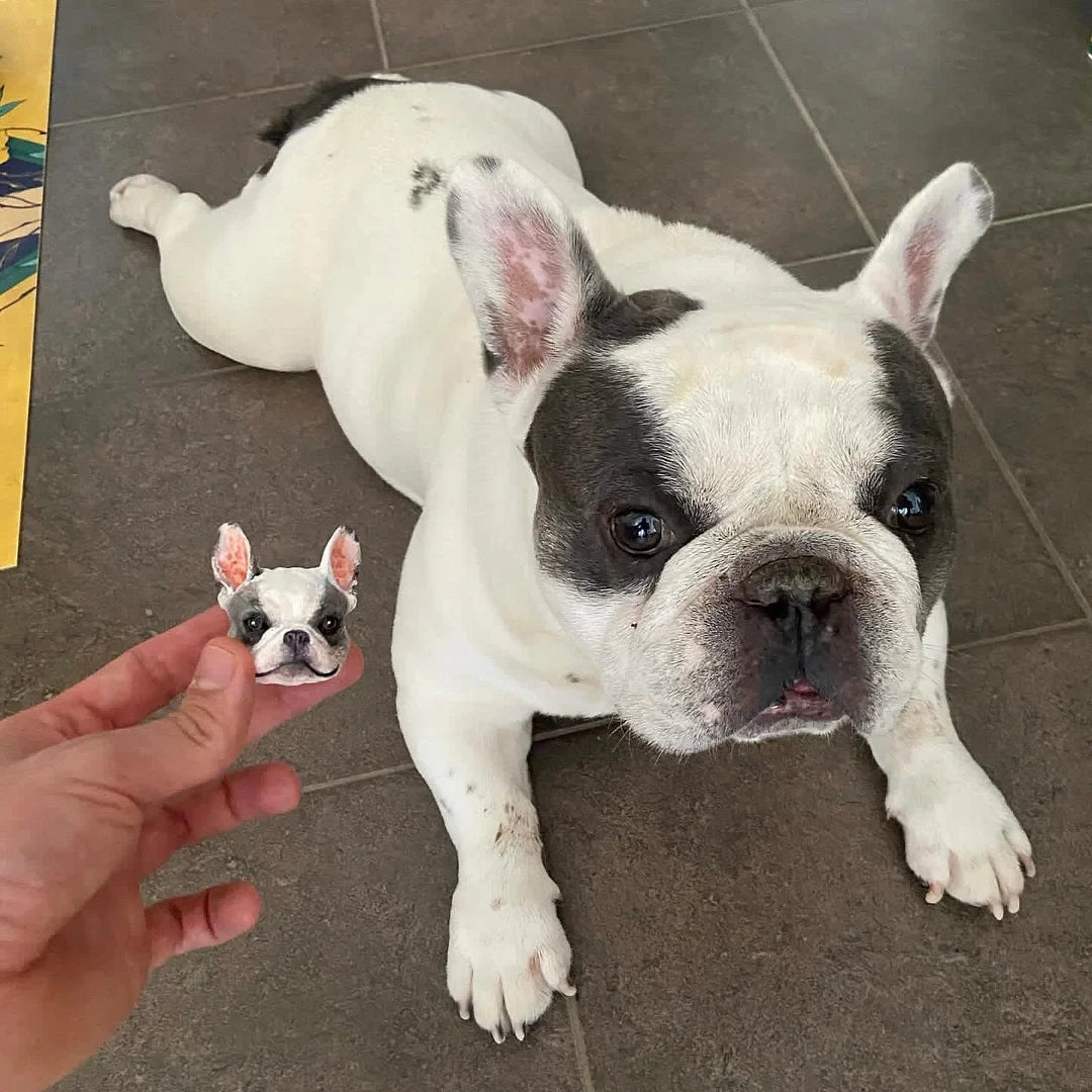 Personalized Cute Pet Plaster Avatar